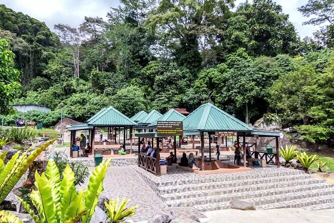 Private Desa Dairy Farm, Kinabalu National Park, Hot Spring & Canopy Walk Tour - The 7:30am Start That Makes This Day Work
