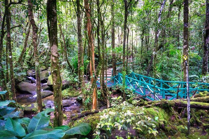 Private Desa Dairy Farm, Kinabalu National Park, Hot Spring & Canopy Walk Tour - Kinabalu Park Headquarters: Registration Area Plus Trekking Trails