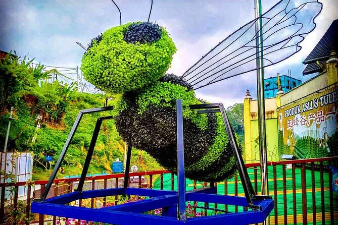 Private Full-Day Cameron Highlands Nature Tour from Kuala Lumpur - Getting to Cameron Highlands: the drive past Tapah and the mountain roads