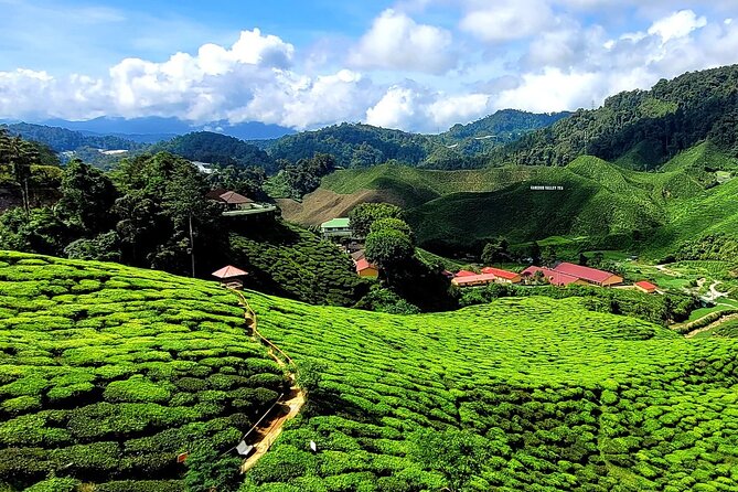 Private Full-Day Cameron Highlands Nature Tour from Kuala Lumpur - Ringlet and Orang Asli culture: Semai tribe tools and blowpipe demo