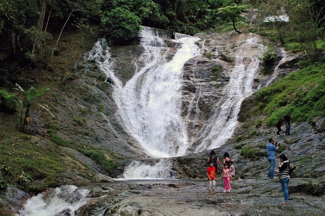 Private Full-Day Cameron Highlands Nature Tour from Kuala Lumpur - Highlands bee farms: the learning gets better the second time
