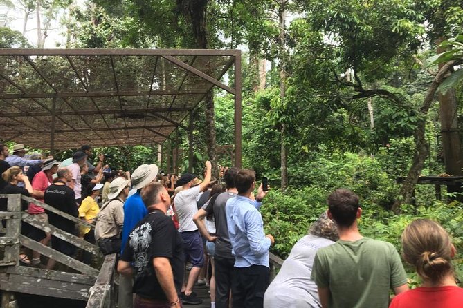 Private Full Day Sepilok Orang Utan, Bornean Sun Bear and Rainforest Discovery Center Tour - Private Pickup From Sandakan, and Why the Start Time Matters