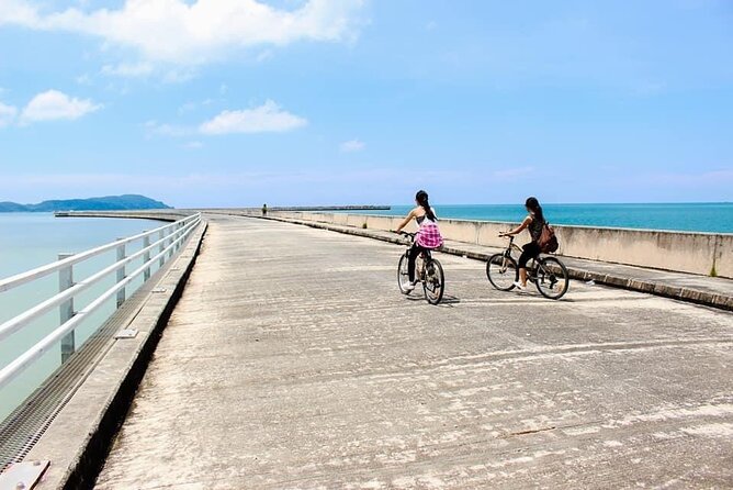 Private Half Day Cycling Tour in Langkawi - Key highlights you will actually notice