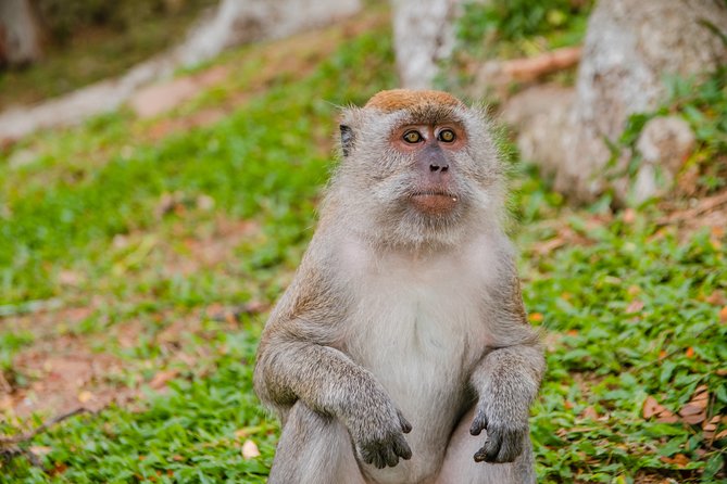 Private Kanching Waterfalls with Batu Caves & Ramayana Caves Tour - Transport, Pickup, and Private-Tour Comfort That Actually Matters
