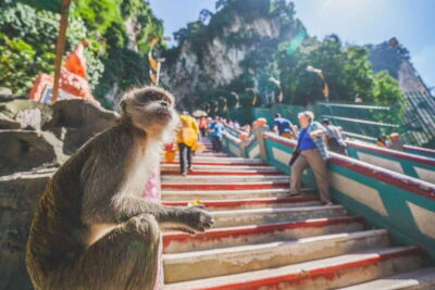 Private KL City Tour with Petronas Twin Towers & Batu Caves