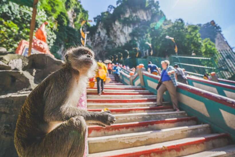 Private KL City Tour with Petronas Twin Towers & Batu Caves - Petronas Twin Towers: Skybridge and Observation Deck timing