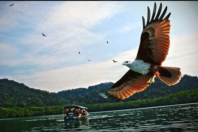 Private Langkawi Departure Transfer to Airport - Luggage rules and the midnight fee that can catch you