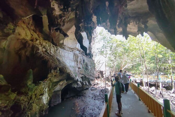 Private Langkawi Mangrove Forest Boat Tour Tg Rhu with Lunch - Eagle feeding and the fish show: why these moments matter