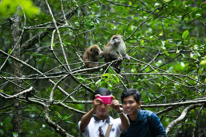 Private Mangrove Tour 3 Hour (max 8 People) - Key things I like about this Langkawi mangrove tour