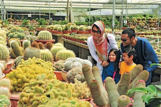 Private Nature Trip to Cameron Highlands from Kuala Lumpur - Key Highlights You’ll Care About