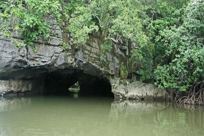Private Tanjung Rhu Village and Mangroves by Boat in Langkawi - The Kilim River boat ride is the heart of the day