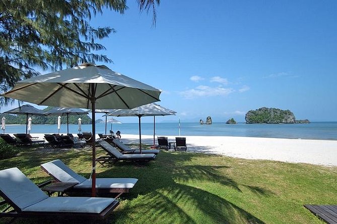 Private Tanjung Rhu Village and Mangroves by Boat in Langkawi - Eagle feeding and the wildlife you actually hope to see
