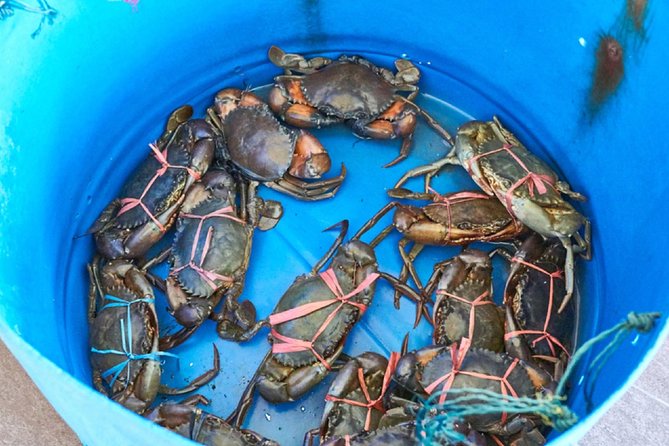 Private Tour: Crab Island Sightseeing Boat Ride and Seafood Lunch - How the seafood lunch works on the island