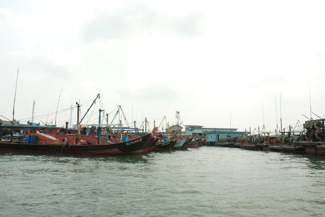 Private Tour: Crab Island Sightseeing Boat Ride and Seafood Lunch - Who this tour suits best