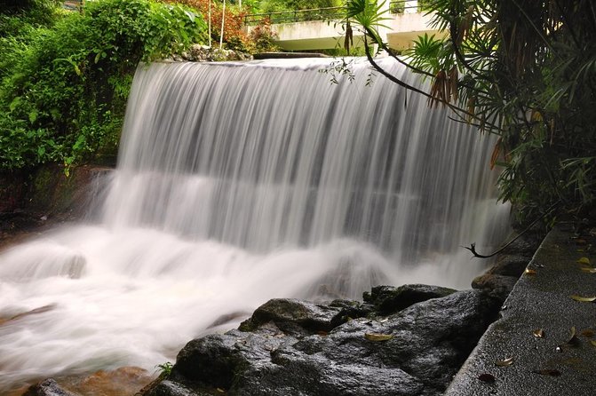 Private Tour: Full Day Center Penang Island Tour - Key things that make this Penang day work