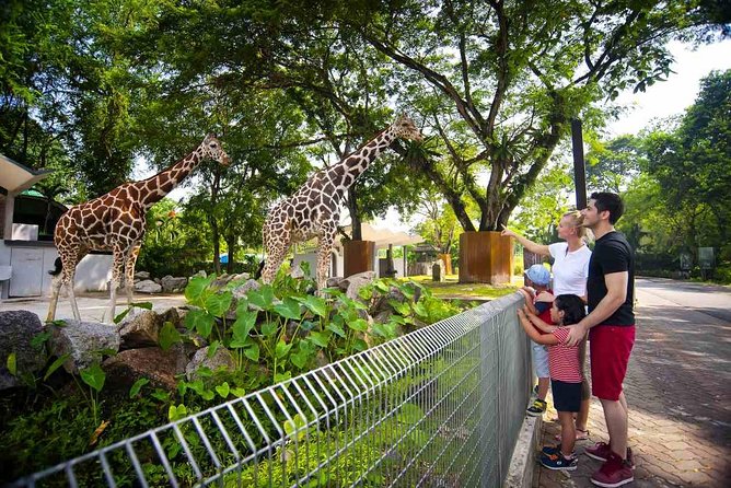 Private Tour to The Best of Animal Attractions in Kuala Lumpur - What This Half-Day Animal Tour Really Does for Your Schedule