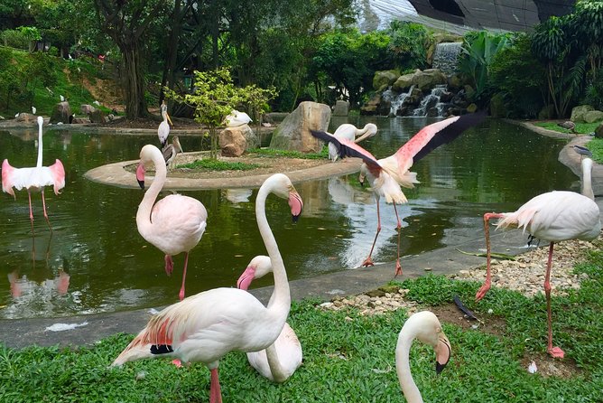 Private Tour to The Best of Animal Attractions in Kuala Lumpur - Aquaria KLCC: 45 Minutes with 5,000+ Exhibits