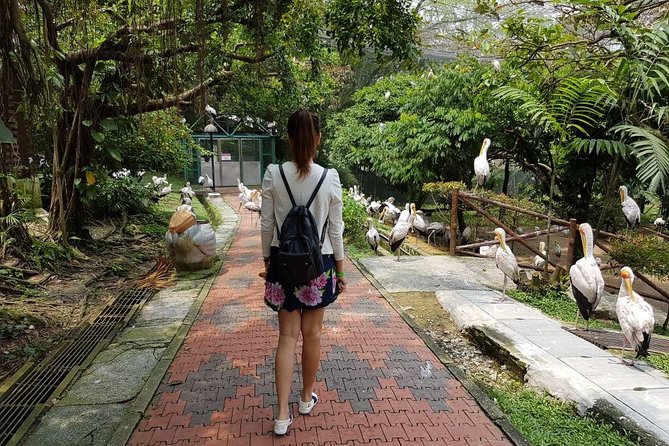 Private Tour to The Best of Animal Attractions in Kuala Lumpur - Zoo Negara: Give This Stop Your Best Energy