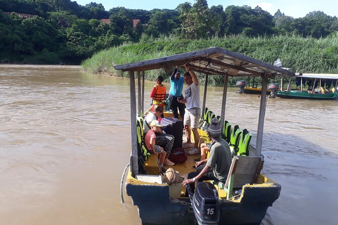 Private Transfer to Taman Negara from Kuala Lumpur - Driver Quality, Clean Vehicles, and the Kind of Trust You Want