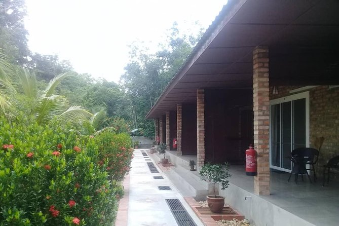 Private Transfer to Taman Negara from Kuala Lumpur - Pickup Details: Hotel Lobby, 10 Minutes Early, and Correct Drop-Off Info