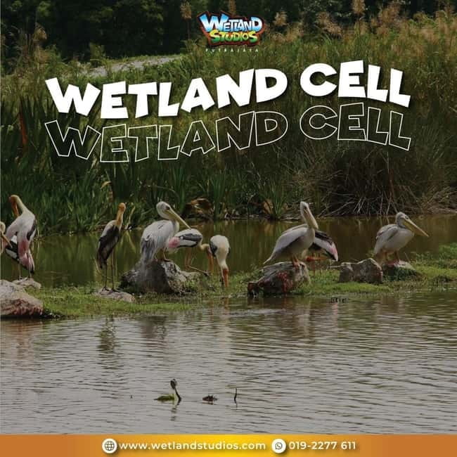 Putrajaya: Wetland Studios Admission Ticket - Inside the indoor park: what you actually do