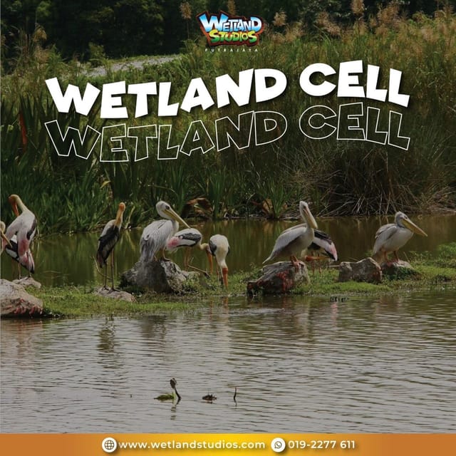 Putrajaya: Wetland Studios Admission Ticket - Price and value: is $8 worth it?