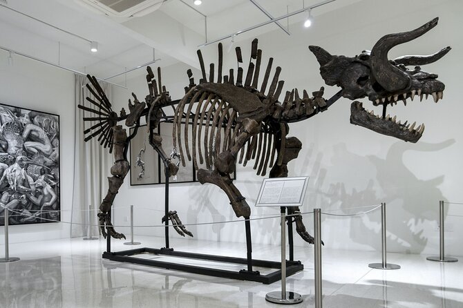 Quirky Art Museum called Ur-Mu in Bukit Bintang, KL - Who should book this UR-MU stop (and who might skip it)