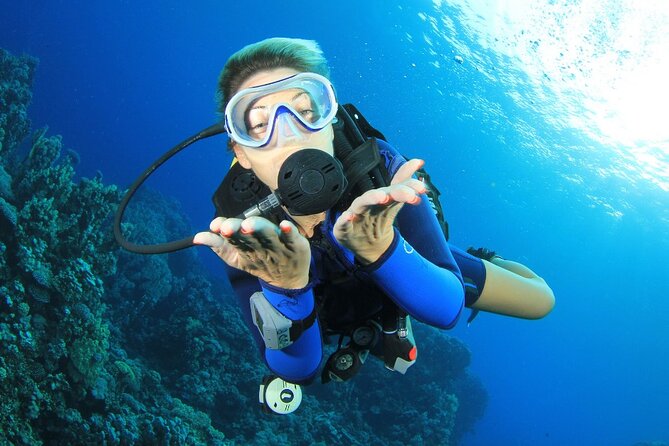 RAID Try-Dive Experience in Kota Kinabalu - What the morning training actually covers (and why it helps)