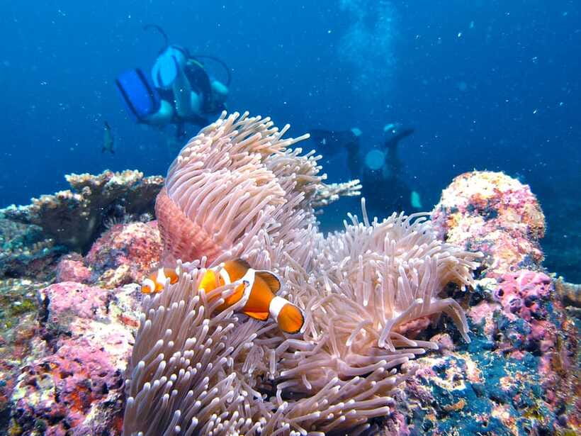 RAID Try-Dive in Kota Kinabalu, Sabah - Intro Forms and Your Short Scuba Readiness Session
