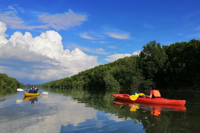 River Exploration and Mangrove Nature Tour by kayaking - Key highlights to know before you go