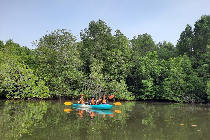 River Exploration and Mangrove Nature Tour by kayaking - Kayaking Sepang River mangroves, minus the big-boat chaos