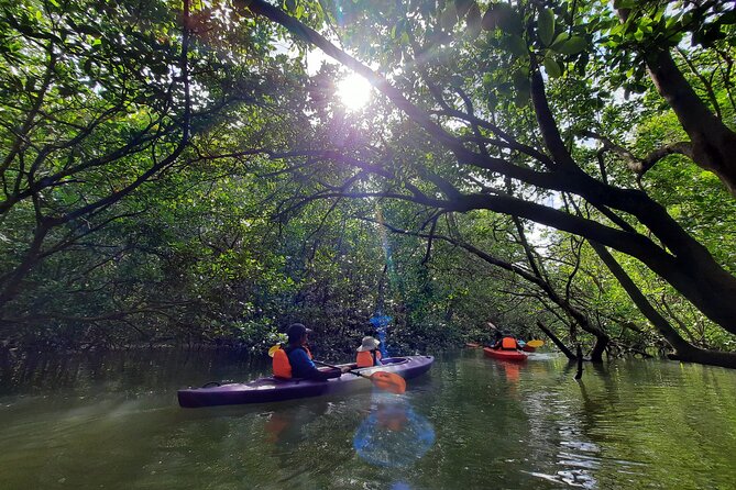 River Exploration and Mangrove Nature Tour by kayaking - Price and value: is $83.41 really fair?