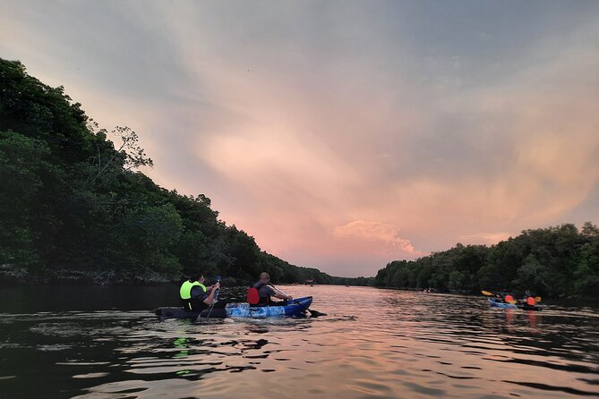 River Exploration and Mangrove Nature Tour by kayaking - Potential drawbacks: things that can change your experience