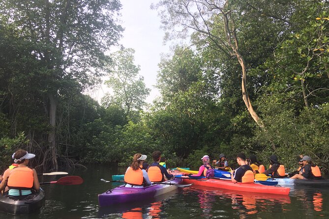 River Exploration and Mangrove Nature Tour by kayaking - Getting to Jetty Kampung Tanjung Mas Batu 2 and launching from the floating house