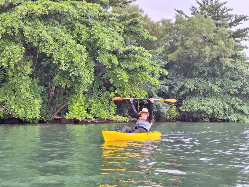 Round Ketam Kayaking at Pulau Ubin - Midway lessons: mangroves where Ketam’s sections connect