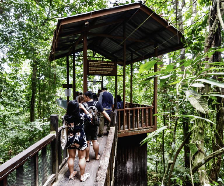 Sabah: Kota Kinabalu Park and Hot Spring Day Trip - Desa Cattle Dairy Farm: milk and cheese tasting that feels local