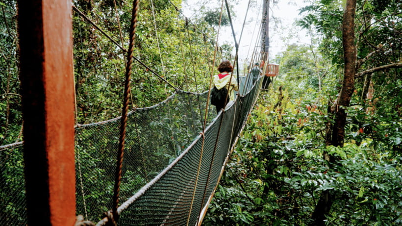 Sabah: Kundasang Nature Day Tour - Who Should Book This Tour (and Who Might Skip Parts)