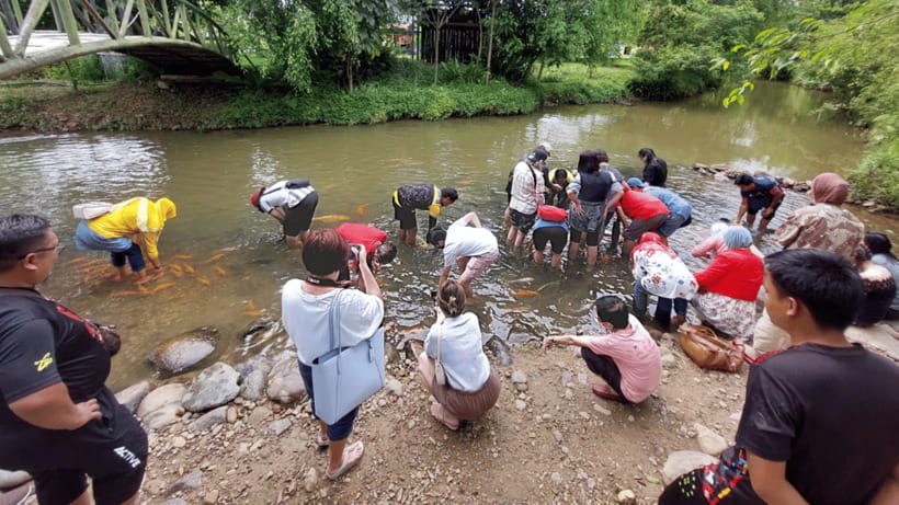 Sabah: Kundasang Nature Day Tour - Moroli River Fish Spa: A Weird Idea That Turns Practical