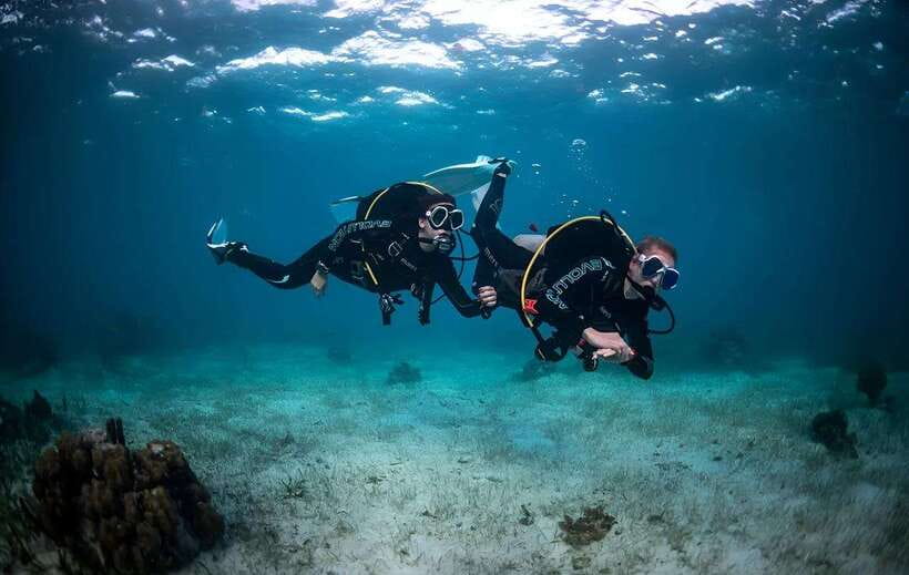 Sabah : Mamutik & Sapi Island Excursion Ticket - Mamutik Island: Beach Time and Snorkeling in the Marine Park
