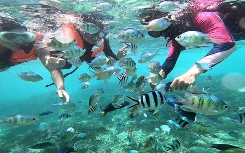 Sabah: Mantanani Island Day Tour with Lunch - Key Highlights You’ll Notice Fast