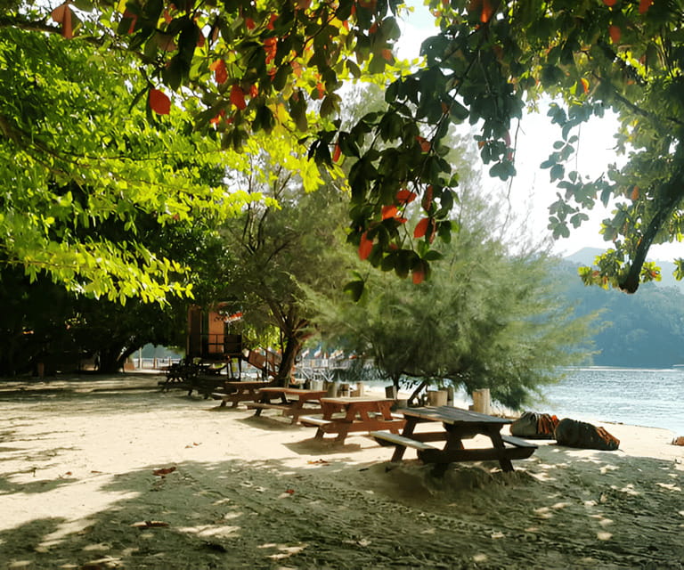 Sabah: Manukan and Sapi Islands Excursion Ticket - Sapi Island: more swim time, and the adrenaline part of the day