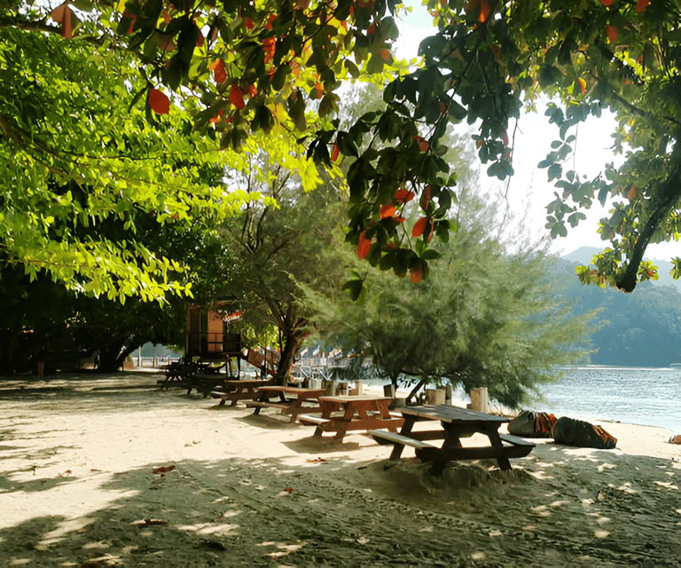 Sabah: Manukan and Sapi Islands Excursion Ticket - Snorkeling gear and technique tips that prevent a wasted swim