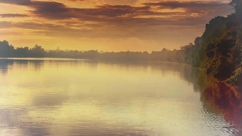 Sandakan: 2 Days 1 Night Bilit, Kinabatangan River Wildlife - Bilit Adventure Lodge: What “Comfortable” Means in a Rainforest Setting