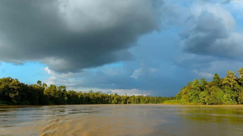 Sandakan: 2 Days 1 Night Bilit, Kinabatangan River Wildlife - Sunrise and Sunset Boat Cruises: Where the Trip Earns Its Cost