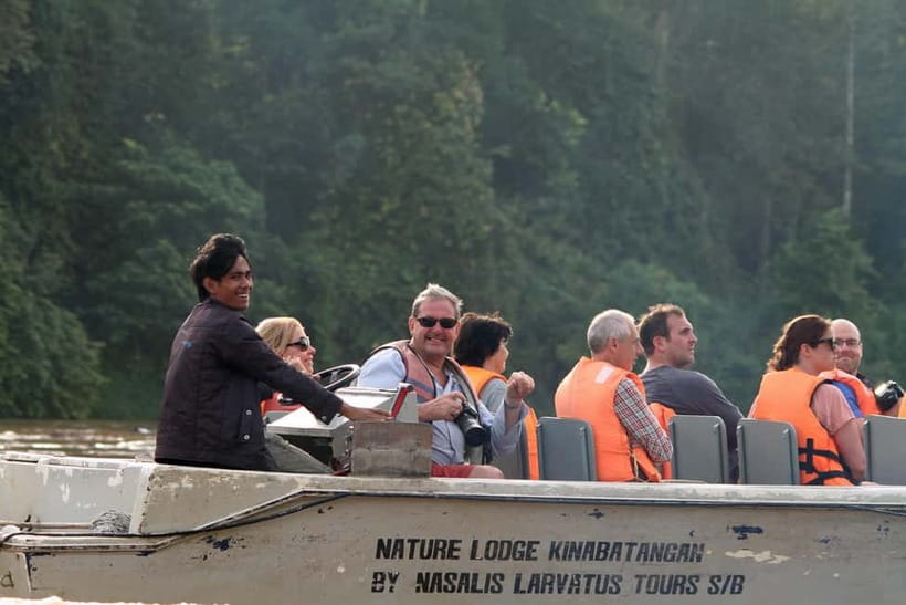 Sandakan: 3D2N The Wild Heart of Borneo River Secrets - Golden Hour on the River: Macaques Foraging and the Orangutan Question