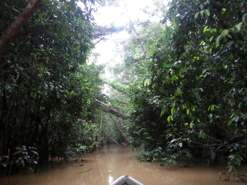 Sandakan: 3D2N The Wild Heart of Borneo River Secrets - Price and Value: What $316 Really Buys You