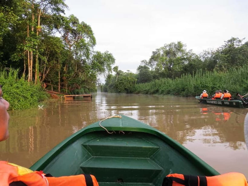 Sandakan: 3D2N The Wild Heart of Borneo River Secrets - Riverbank Lodging: Air-Conditioned Comfort With a Wild Backdrop