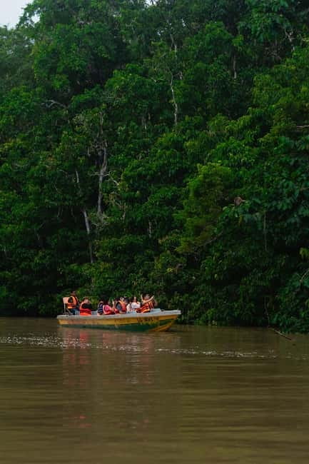 Sandakan: Kinabatangan River Wildlife Cruise with Lunch - Key things to know before you go