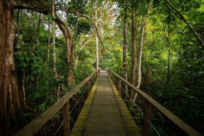 Sandakan: Kinabatangan River Wildlife Cruise with Lunch - What to bring (and how to use it) for a better wildlife cruise