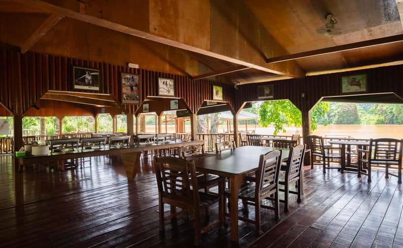 Sandakan: Kinabatangan River Wildlife Cruise with Lunch - Who should book this Kinabatangan cruise?